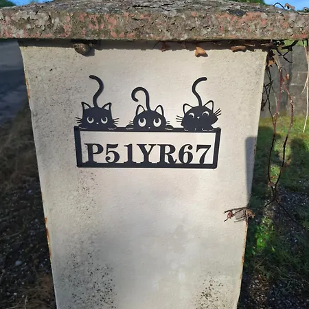 In A Private House In The Middle Of Countryside First Store Or Bar Within 10 Min Drive Cats In The Kwatera prywatna *