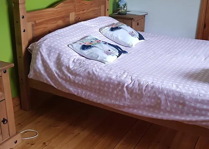 In A Private House In The Middle Of Countryside First Store Or Bar Within 10 Min Drive Cats In The *