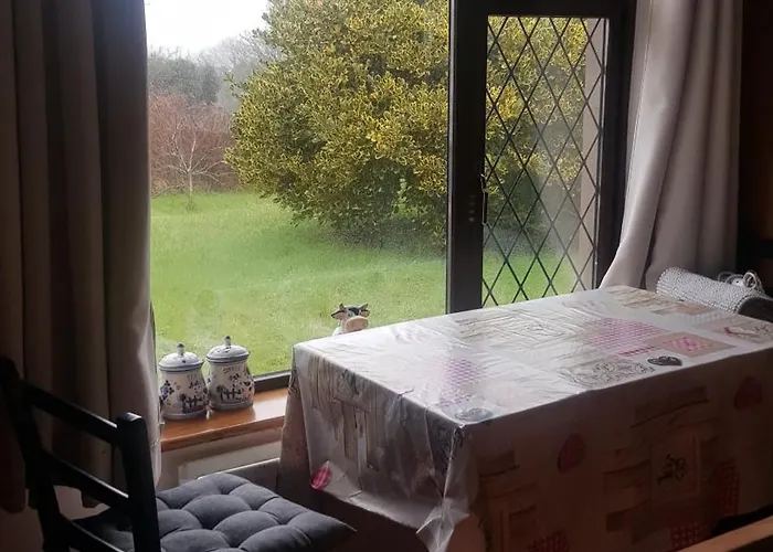 In A Private House In The Middle Of Countryside First Store Or Bar Within 10 Min Drive Cats In The Analeentha