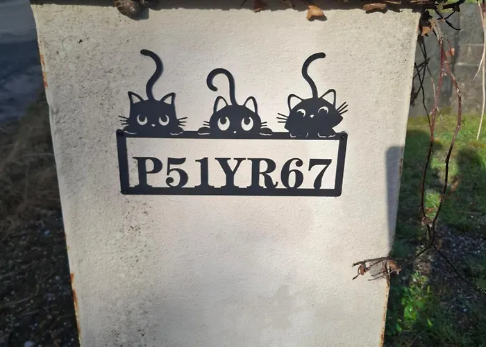 In A Private House In The Middle Of Countryside First Store Or Bar Within 10 Min Drive Cats In The Habitación en casa particular *